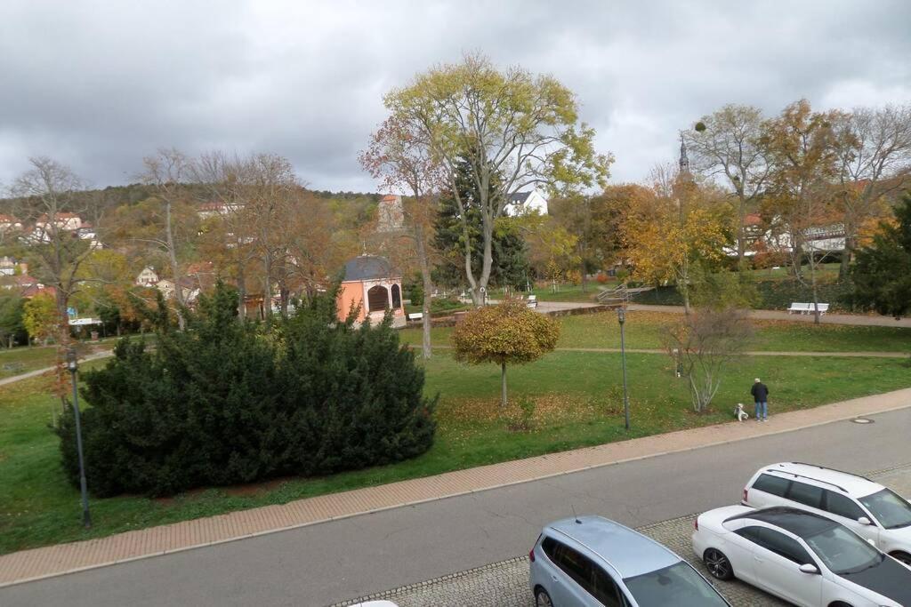Apartment Am Kurpark Bad Frankenhausen Eksteriør billede